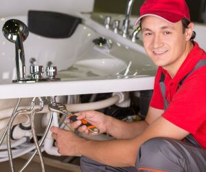 About Plumbers Pros Fulton, OH